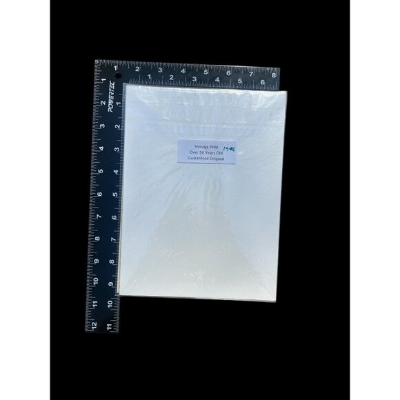 Vintage 1940s Fiery Parakeet Bird Print - Picture 3 of 5